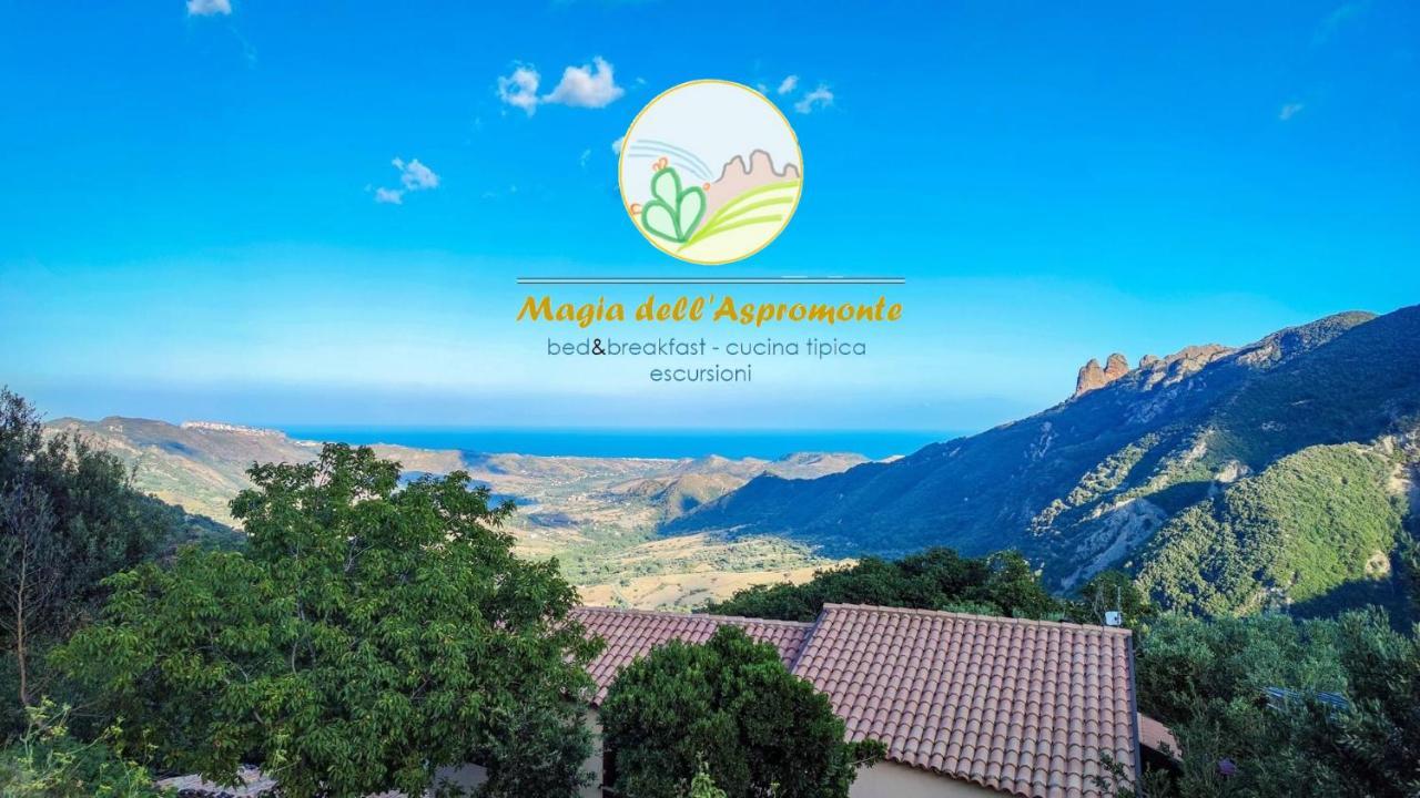 Bed and Breakfast Magia Dell'Aspromonte Ciminà Zewnętrze zdjęcie